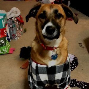 Meet your Posher, Jodi